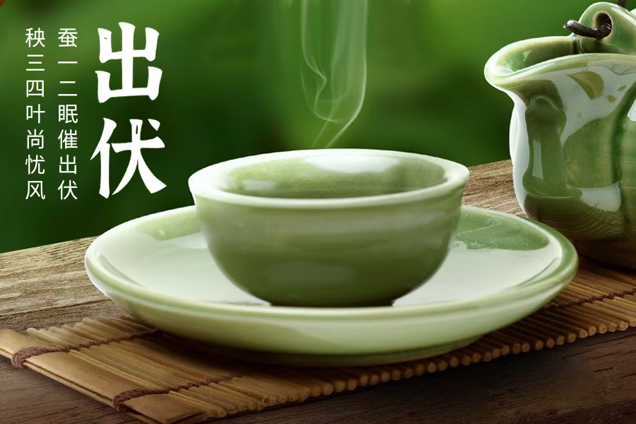 出伏暑去清風(fēng)來(lái)，守一杯茶的閒逸，靜享秋日清歡