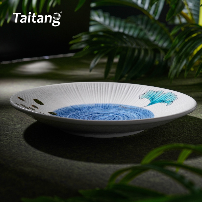 精緻彩色釉面陶瓷淺盤(pán)
