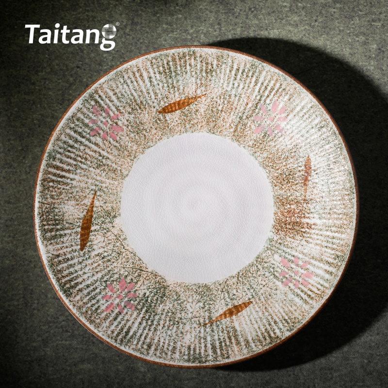 精緻彩色釉面陶瓷淺盤(pán)